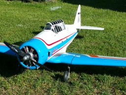 Modelle unserer Mitglieder